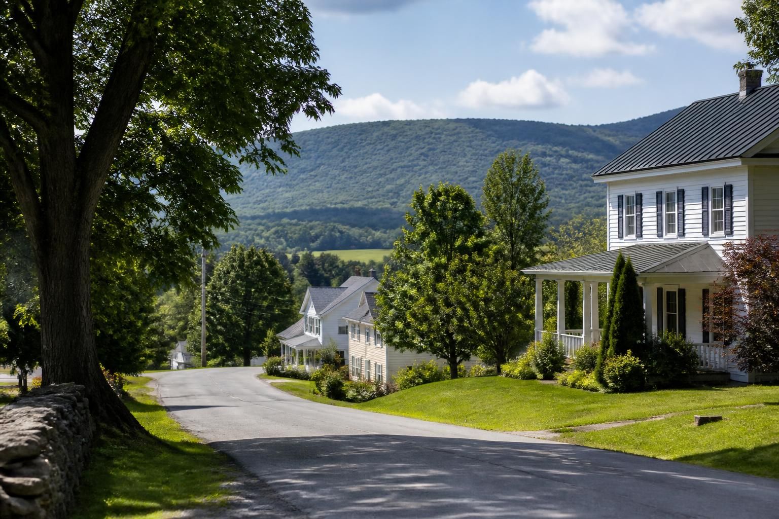 Quiet Reeders neighborhood with rural homes and open greenery.